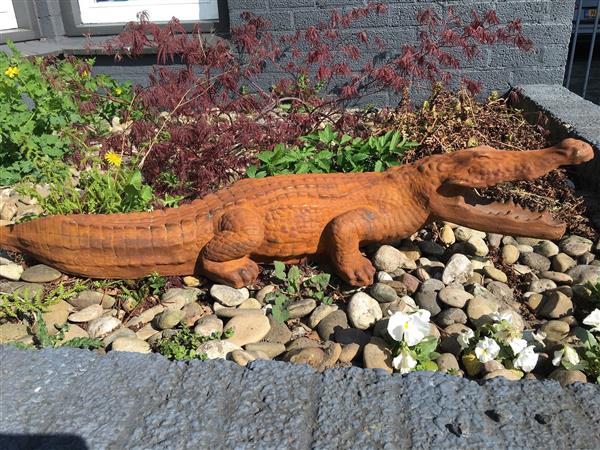 Grote foto prachtige forse oxide kleurige vol stenen krokodil. tuin en terras tuindecoratie