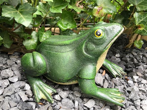 Grote foto prachtige gietijzeren kikker mooi bij de vijver tuin en terras tuindecoratie