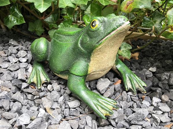 Grote foto prachtige gietijzeren kikker mooi bij de vijver tuin en terras tuindecoratie