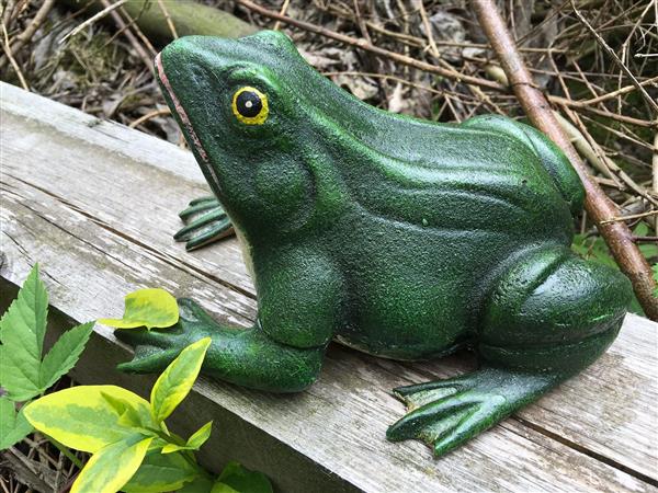 Grote foto prachtige gietijzeren kikker mooi bij de vijver tuin en terras tuindecoratie