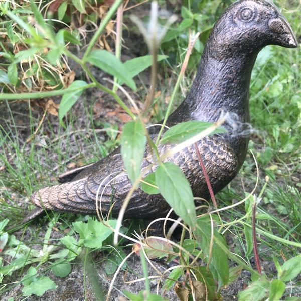 Grote foto duif vol bronskleur metaal prachtig beeldje tuin en terras tuindecoratie