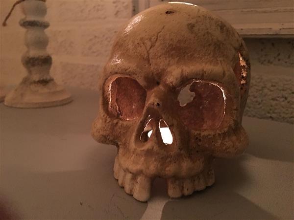 Grote foto decoratieve schedel skull gietijzer white rust huis en inrichting woningdecoratie