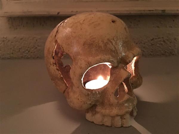 Grote foto decoratieve schedel skull gietijzer white rust huis en inrichting woningdecoratie