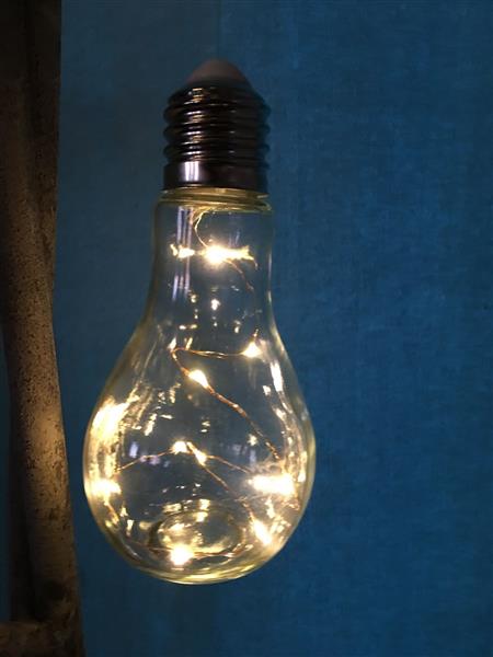 Grote foto lamp gloeilamp model staand led tuin en terras tuindecoratie