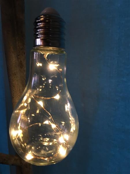 Grote foto lamp gloeilamp model staand led tuin en terras tuindecoratie