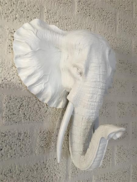 Grote foto mooie witte olifantenkop wandornament prachtig tuin en terras tuindecoratie
