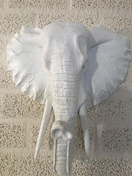 Grote foto mooie witte olifantenkop wandornament prachtig tuin en terras tuindecoratie