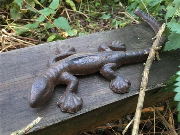 Grote foto salamander hagedis gemaakt van gietijzer huis en inrichting woningdecoratie