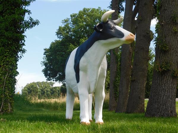 Grote foto levensgrote koe in kleur polystone beeld koe xl tuin en terras tuindecoratie
