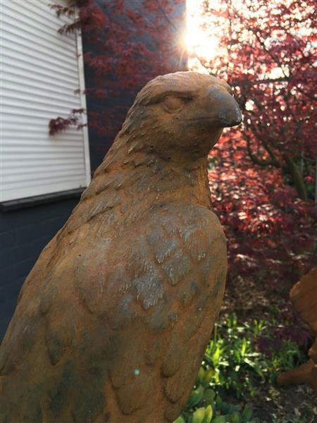 Grote foto een prachtige zittende adelaar vol steen oxid. tuin en terras tuindecoratie