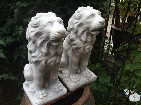 Grote foto set zittende leeuwen 53 cm steen tuin en terras tuindecoratie