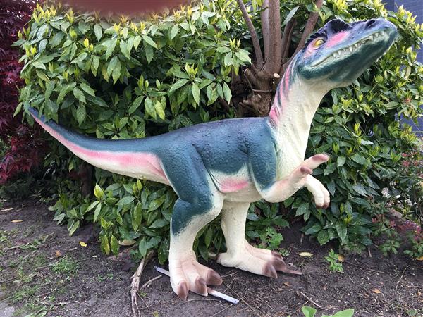 Grote foto dinosaurus prachtige forse sculptuur van een tyrannosaurus tuin en terras tuindecoratie