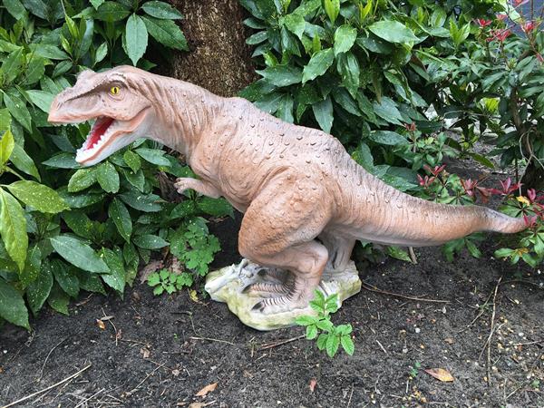 Grote foto dinosaurus prachtige beeld van een tyrannosaurus tuin en terras tuindecoratie