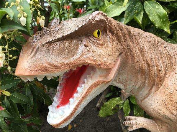 Grote foto dinosaurus prachtige beeld van een tyrannosaurus tuin en terras tuindecoratie