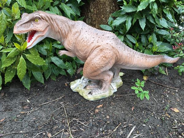 Grote foto dinosaurus prachtige beeld van een tyrannosaurus tuin en terras tuindecoratie