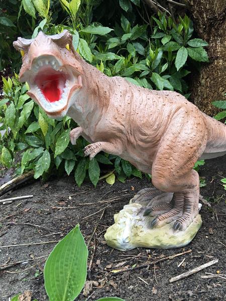 Grote foto dinosaurus prachtige beeld van een tyrannosaurus tuin en terras tuindecoratie