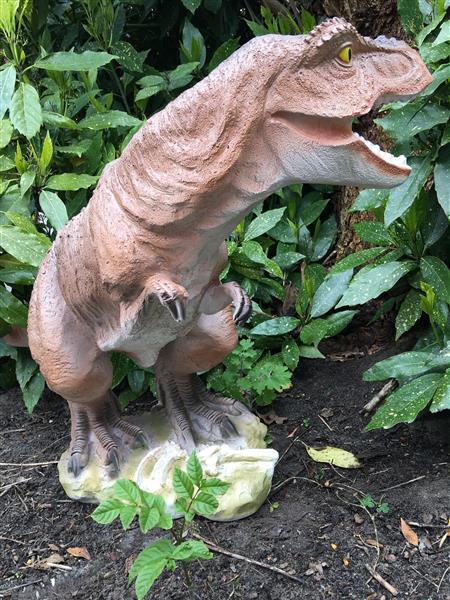 Grote foto dinosaurus prachtige beeld van een tyrannosaurus tuin en terras tuindecoratie