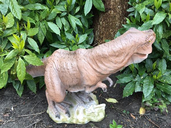 Grote foto dinosaurus prachtige beeld van een tyrannosaurus tuin en terras tuindecoratie