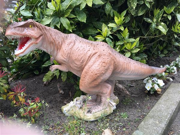 Grote foto dinosaurus prachtige beeld van een tyrannosaurus tuin en terras tuindecoratie