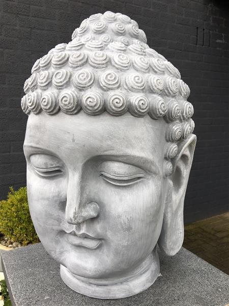 Grote foto boeddha hoofd polystein beton kleur tuin en terras tuindecoratie