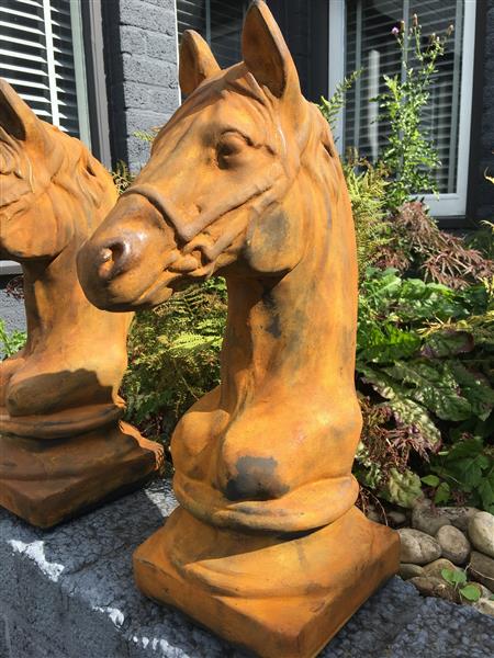 Grote foto sculptuur paardenhoofd vol steen oxide tuin en terras tuindecoratie