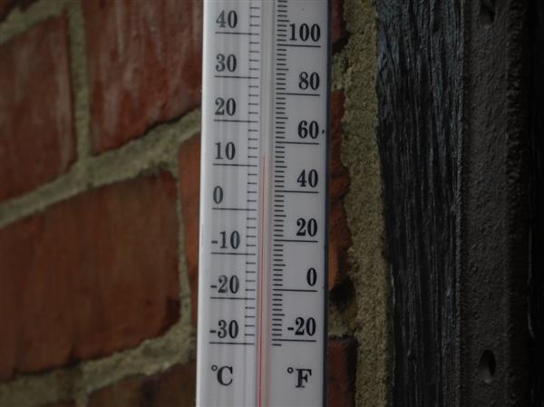 Grote foto kozijnthermometer met vogel gietijzer weerbestendig tuin en terras tuindecoratie