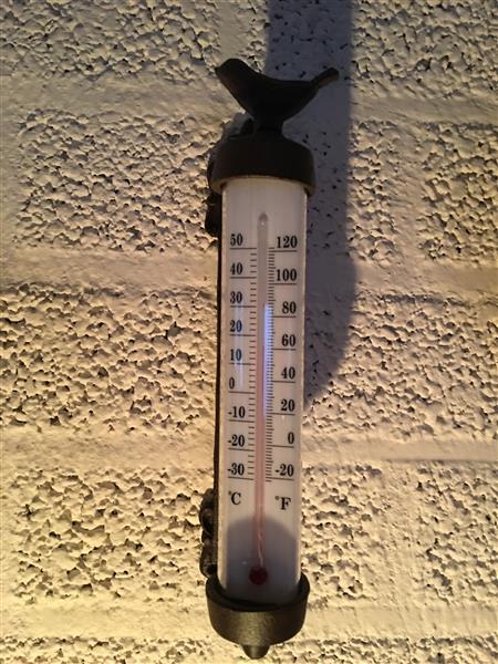 Grote foto kozijnthermometer met vogel gietijzer weerbestendig tuin en terras tuindecoratie