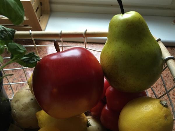 Grote foto prachtig echt lijkende appel en peer zie de foto tuin en terras tuindecoratie