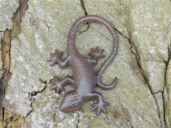 Grote foto mooie hagedis gekko als decoratie gietijzeren salamander tuin en terras tuindecoratie