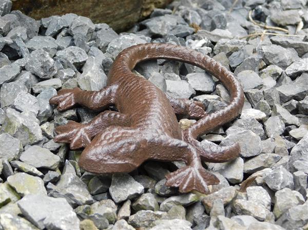 Grote foto mooie hagedis gekko als decoratie gietijzeren salamander tuin en terras tuindecoratie