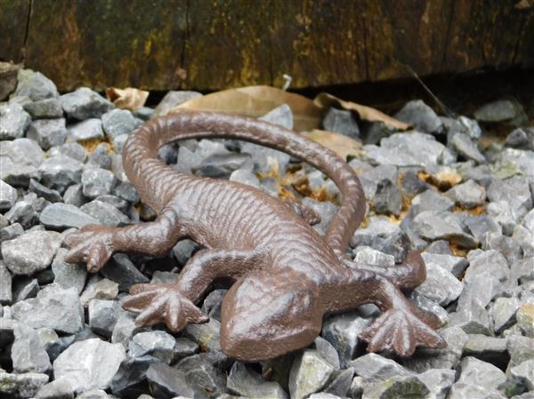 Grote foto mooie hagedis gekko als decoratie gietijzeren salamander tuin en terras tuindecoratie