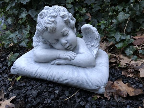 Grote foto beeld engel op kussen steen tuin en terras tuindecoratie