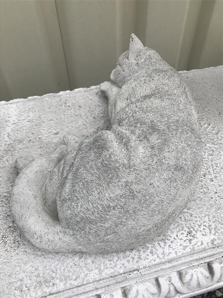 Grote foto slapende kat levensecht dierenfiguur van steen tuin en terras tuindecoratie