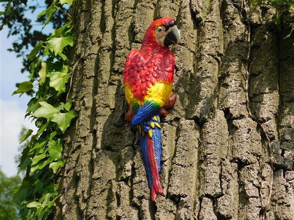 Grote foto rode papegaai gietijzer tuin en terras tuindecoratie