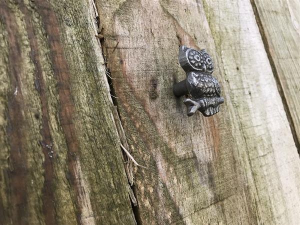 Grote foto kast greep knop in uil gemaakt van gietijzer doe het zelf en verbouw materialen en producten