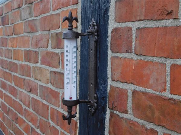 Grote foto thermometer met franse lelie gietijzer kozijnthermometer weerbestendig tuin en terras tuindecoratie