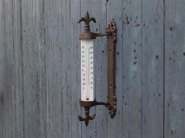 Grote foto thermometer met franse lelie gietijzer kozijnthermometer weerbestendig tuin en terras tuindecoratie