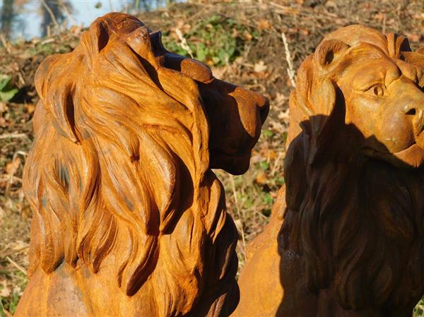 Grote foto zittende leeuw polystone rechts kijken oxid tuin en terras tuindecoratie
