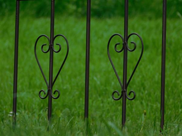 Grote foto hekwerk met franse lelies smeedijzer donkerbruin sierhek tuin en terras tuindecoratie