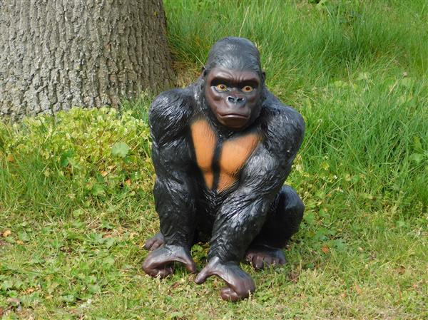 Grote foto prachtige gorilla polystone mooi om te zien. tuin en terras tuindecoratie