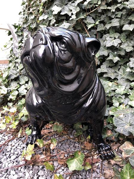 Grote foto bulldog engels model polystein zwart zittend. tuin en terras tuindecoratie