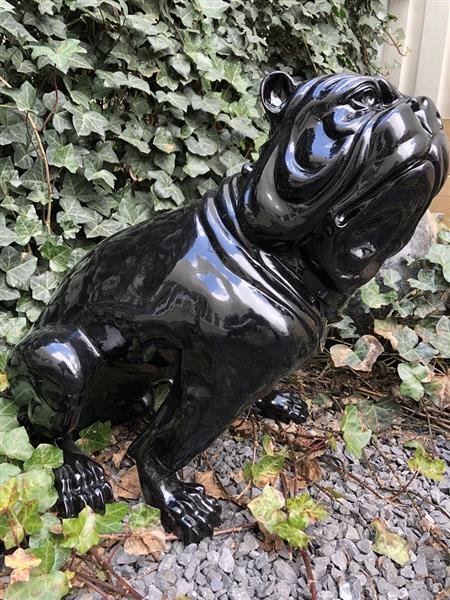 Grote foto bulldog engels model polystein zwart zittend. tuin en terras tuindecoratie