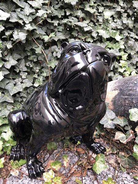 Grote foto bulldog engels model polystein zwart zittend. tuin en terras tuindecoratie