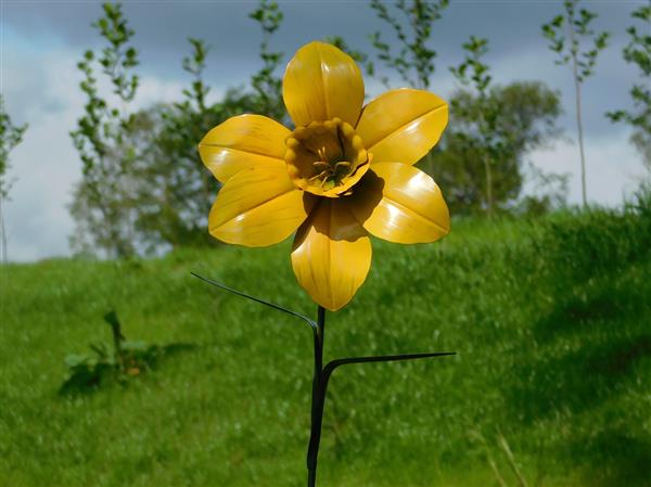 Grote foto handgemaakt narcis tuinsteker 82 cm metaal tuin en terras tuindecoratie