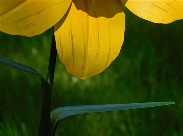 Grote foto handgemaakt narcis tuinsteker 82 cm metaal tuin en terras tuindecoratie