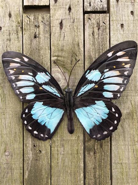 Grote foto vlinder geheel metaal en vol in kleur blauw groen zwart. tuin en terras tuindecoratie