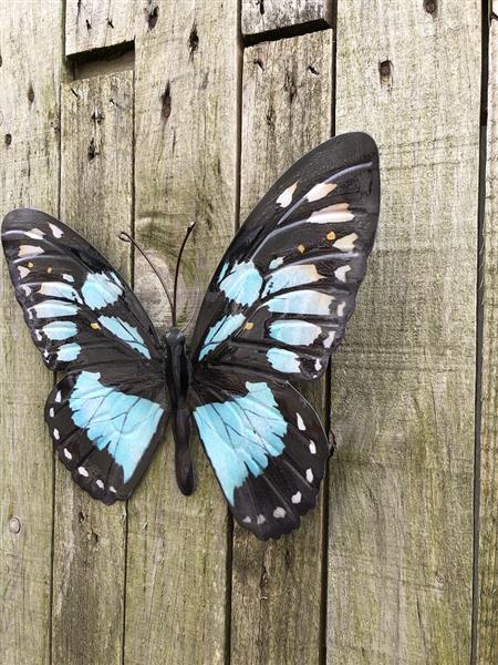 Grote foto vlinder geheel metaal en vol in kleur blauw groen zwart. tuin en terras tuindecoratie