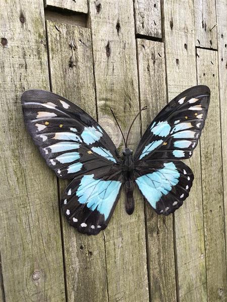 Grote foto vlinder geheel metaal en vol in kleur blauw groen zwart. tuin en terras tuindecoratie