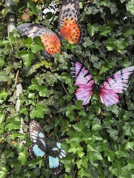 Grote foto vlinder geheel metaal en vol in kleur blauw groen zwart. tuin en terras tuindecoratie