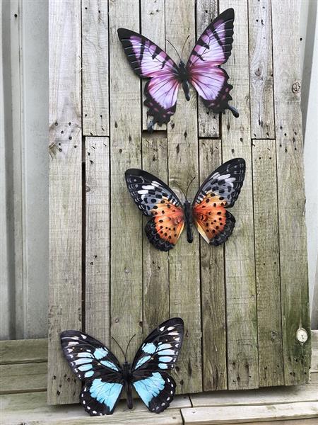 Grote foto set van 3 vlinders geheel metaal en vol in kleur diverse kleuren. tuin en terras tuindecoratie